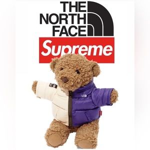 NWT Supreme x The North Face Teddy Bear